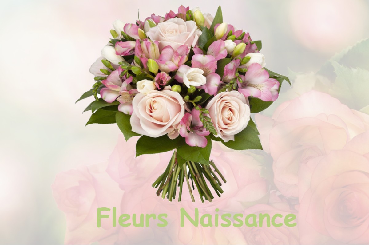 fleurs naissance FONTENAY-SOUS-FOURONNES